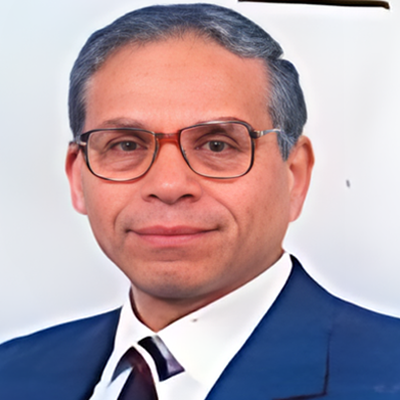 Dr. Hesham Mohamed Mohamed Mansour