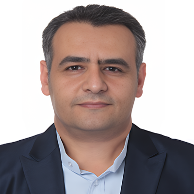 Dr. Mohammad Mehdi Rashidi